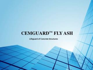 CEMGUARD TM FLY ASH