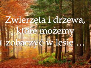 Zwierzęta i drzewa, które możemy zobacz yć w lesie …