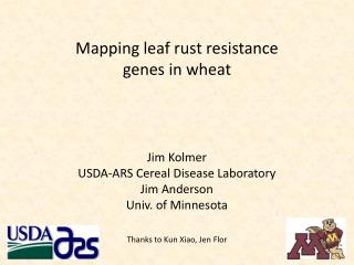 Mapping leaf rust resistance genes in wheat