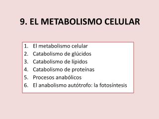 9. EL METABOLISMO CELULAR