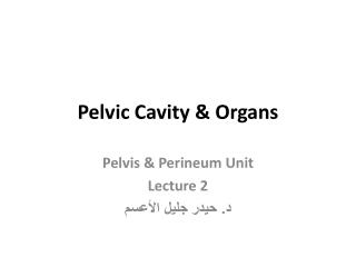Pelvic Cavity &amp; Organs