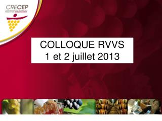 COLLOQUE RVVS 1 et 2 juillet 2013