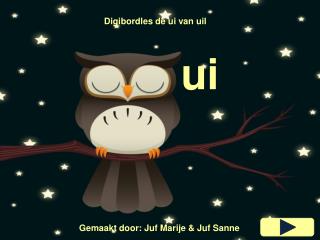 Digibordles de ui van uil