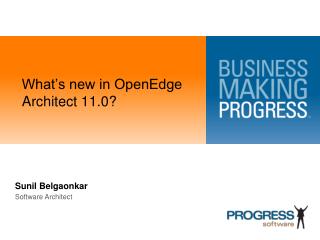What’s new in OpenEdge Architect 11.0?