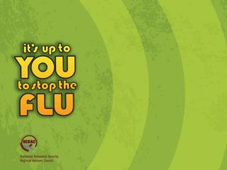 What is the flu?