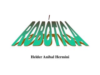 Helder Anibal Hermini