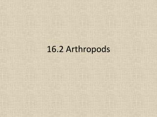 16.2 Arthropods