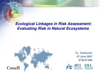Ecological Linkages in Risk Assessment: Evaluating Risk in Natural Ecosystems