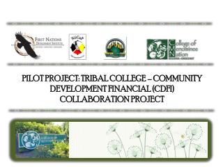 PILOT PROJECT: TRIBAL COLLEGE – COMMUNITY DEVELOPMENT FINANCIAL (CDFI) COLLABORATION PROJECT