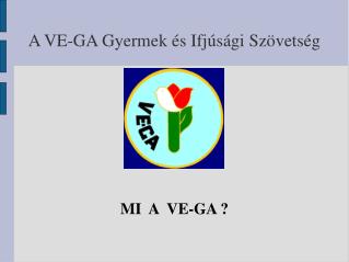 A VE-GA Gyermek és Ifjúsági Szövetség