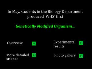 In May, students in the Biology Department produced WHS’ first Genetically Modified Organism...