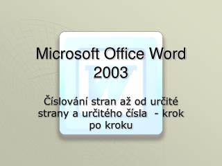 Microsoft Office Word 2003