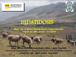 HIDATIDOSIS