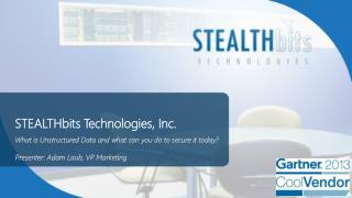 STEALTHbits Technologies, Inc.