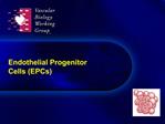 Endothelial Progenitor Cells EPCs