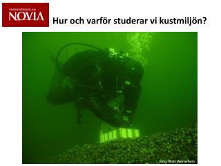 Hur och varför studerar vi kustmiljön?