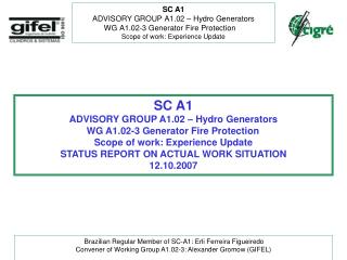 SC A1 ADVISORY GROUP A1.02 – Hydro Generators WG A1.02-3 Generator Fire Protection