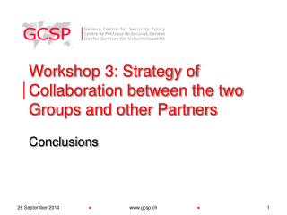 Workshop 3: Strategy of Collaboration between the two Groups and other Partners