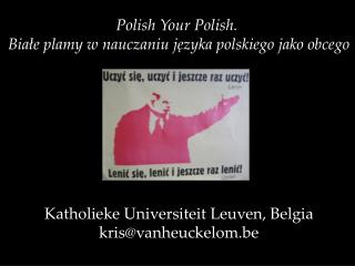 Polish Your Polish. Białe plamy w nauczaniu języka polskiego jako obcego