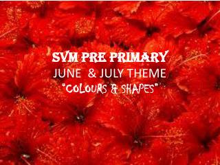 SVM PRE PRIMARY JUNE &amp; JULY THEME “COLOURS &amp; SHAPES”