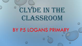 Clyde in the classroom