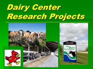 Dairy Center Research Projects