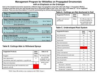 Management Program for Whiteflies on Propagated Ornamentals with an Emphasis on the Q-biotype