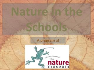 Nature in the Schools