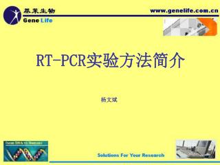 RT-PCR 实验方法简介