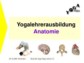 Yogalehrerausbildung