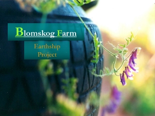 Blomskog Farm--Earthship project