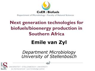 Next generation technologies for biofuels/bioenergy production in Southern Africa