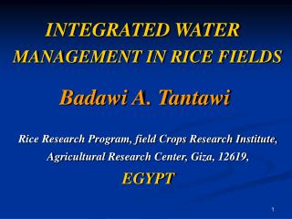 INTEGRATED WATER MANAGEMENT IN RICE FIELDS