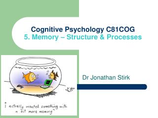 Cognitive Psychology C81COG 5. Memory – Structure &amp; Processes