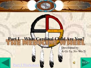 The Medicine Wheel