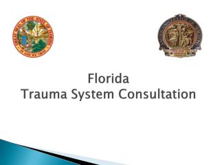 Florida Trauma System Consultation