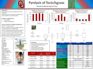 Project Goal: Design pyrolysis process to produce bio-oil from switchgrass .