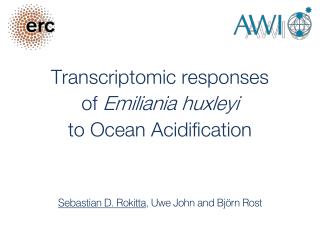 Transcriptomic responses of Emiliania huxleyi to Ocean Acidification