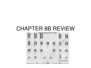 CHAPTER 8B REVIEW