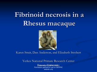 Fibrinoid necrosis in a Rhesus macaque