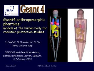 Geant4 anthropomorphic phantoms: models of the human body for radiation protection studies