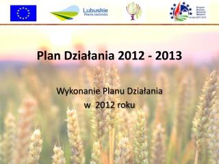 Plan Działania 2012 - 2013