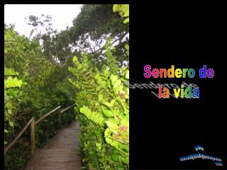 Sendero de la vida