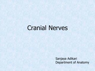 Cranial Nerves