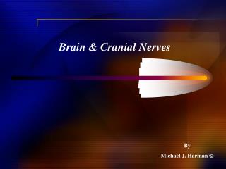 Brain &amp; Cranial Nerves