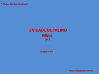 UNIDADE DE TREINO Minis Nº 2