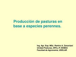 Producción de pasturas en base a especies perennes.