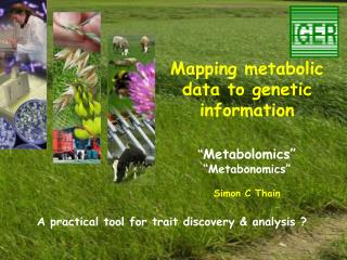 Mapping metabolic data to genetic information “ Metabolomics” “Metabonomics” Simon C Thain