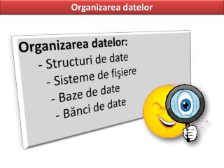 Organizarea datelor