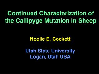 Continued Characterization of the Callipyge Mutation in Sheep